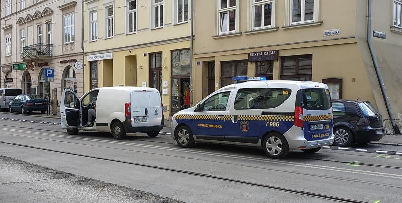 Straż miejska Gdańsk - Zdjęcie podglądowe artykułu