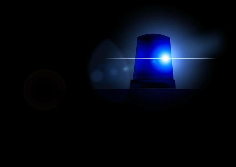 Policja Gdańsk - Zdjęcie podglądowe artykułu